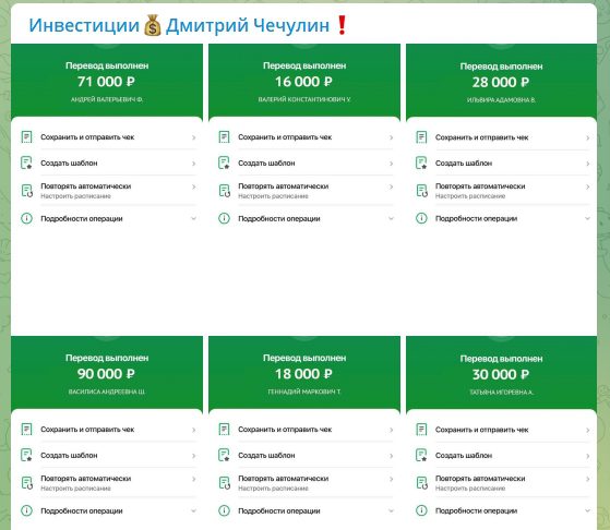 Инвестиции и выплаты по проекту Дмитрия Чечулина
