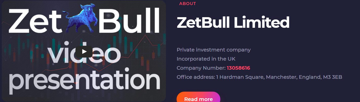О компании ZetBull