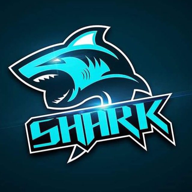 Проект Shark Investor