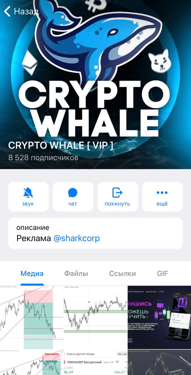 Телеграмм канал Crypto Whale ltd