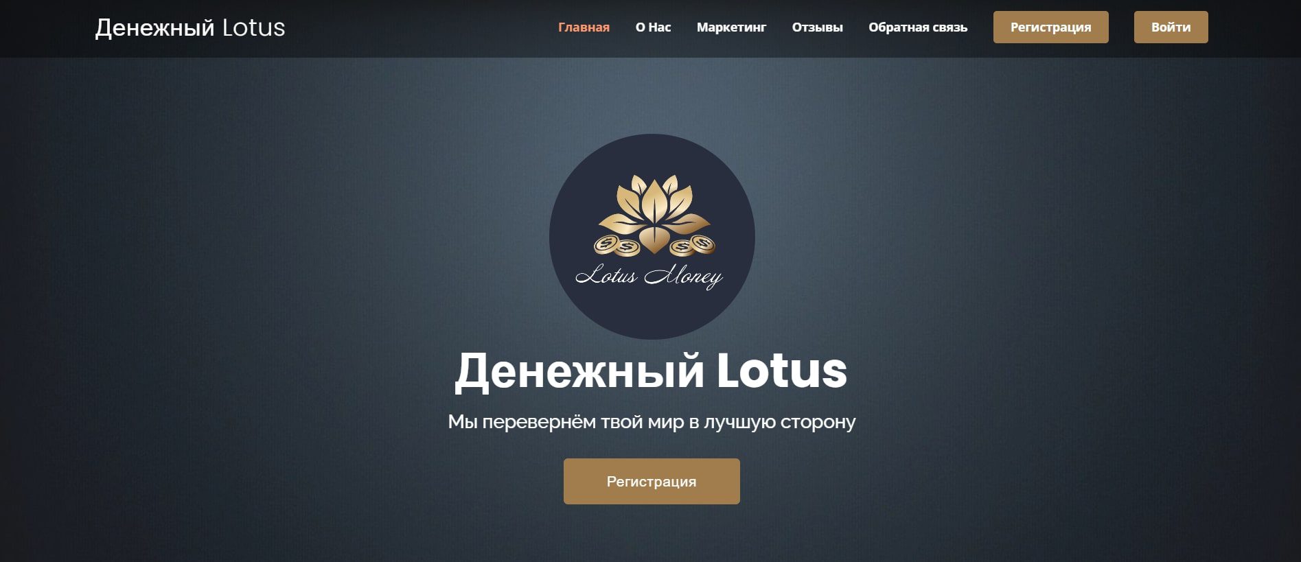 Проект Lotus Money