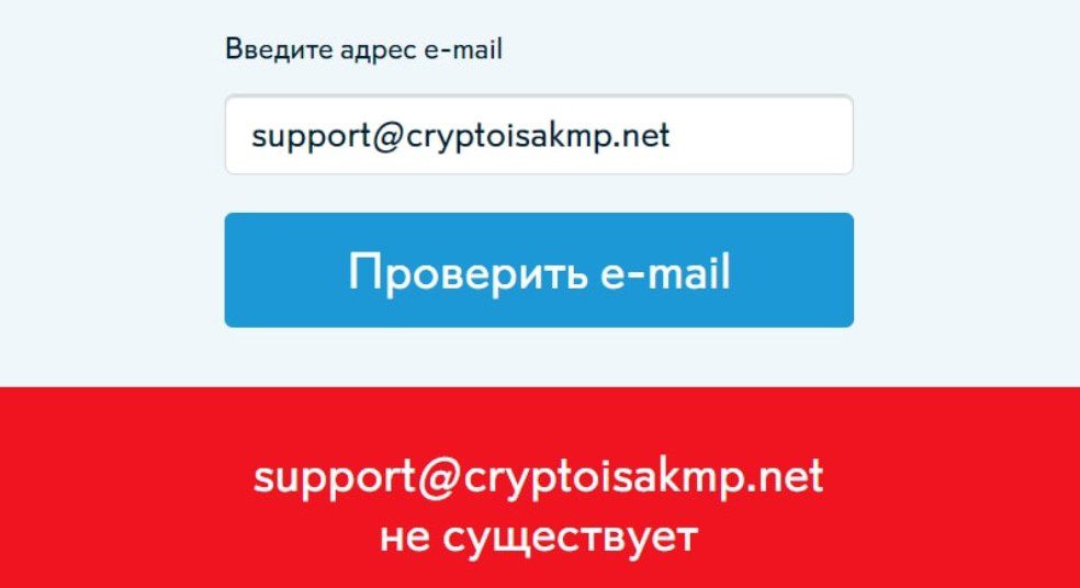 Проверка почты компании AKMP Crypto