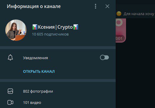 Информация о канале Crypto Ksusha