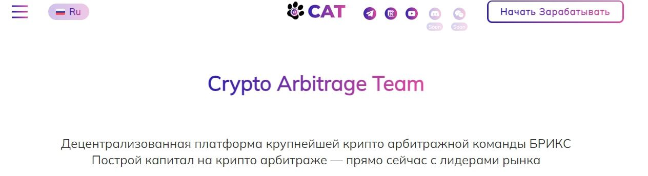 Платформа Mycat Team инвестиции