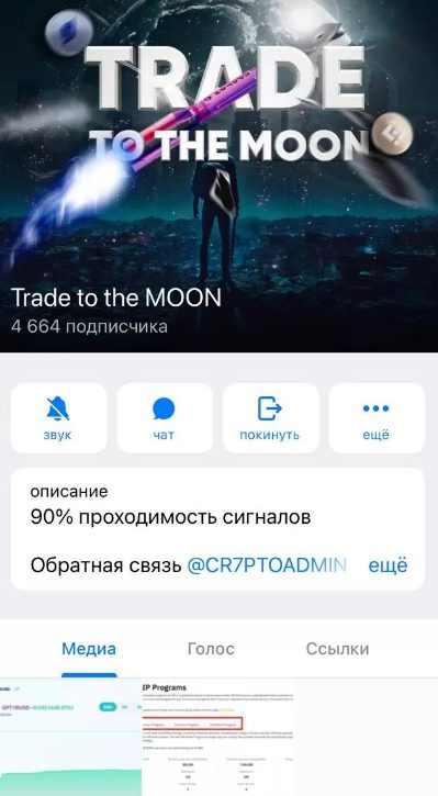 Информация о канале Trade to the Moon в Телеграмм 
