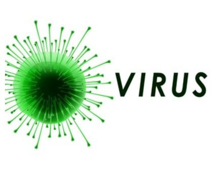 Virus криптовалюта
