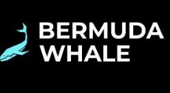 Bermuda WhaleТелеграмм