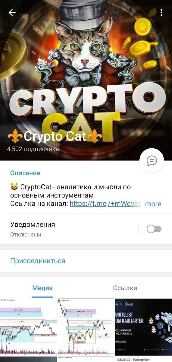 Crypto Cats телеграмм