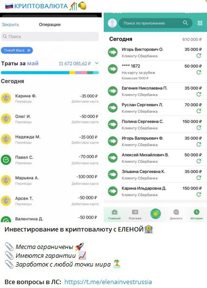 Елена Инвест Россия выплаты