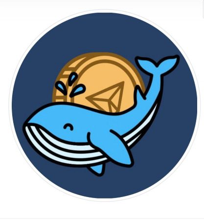 Китовая Бухта – лента в Телеграме