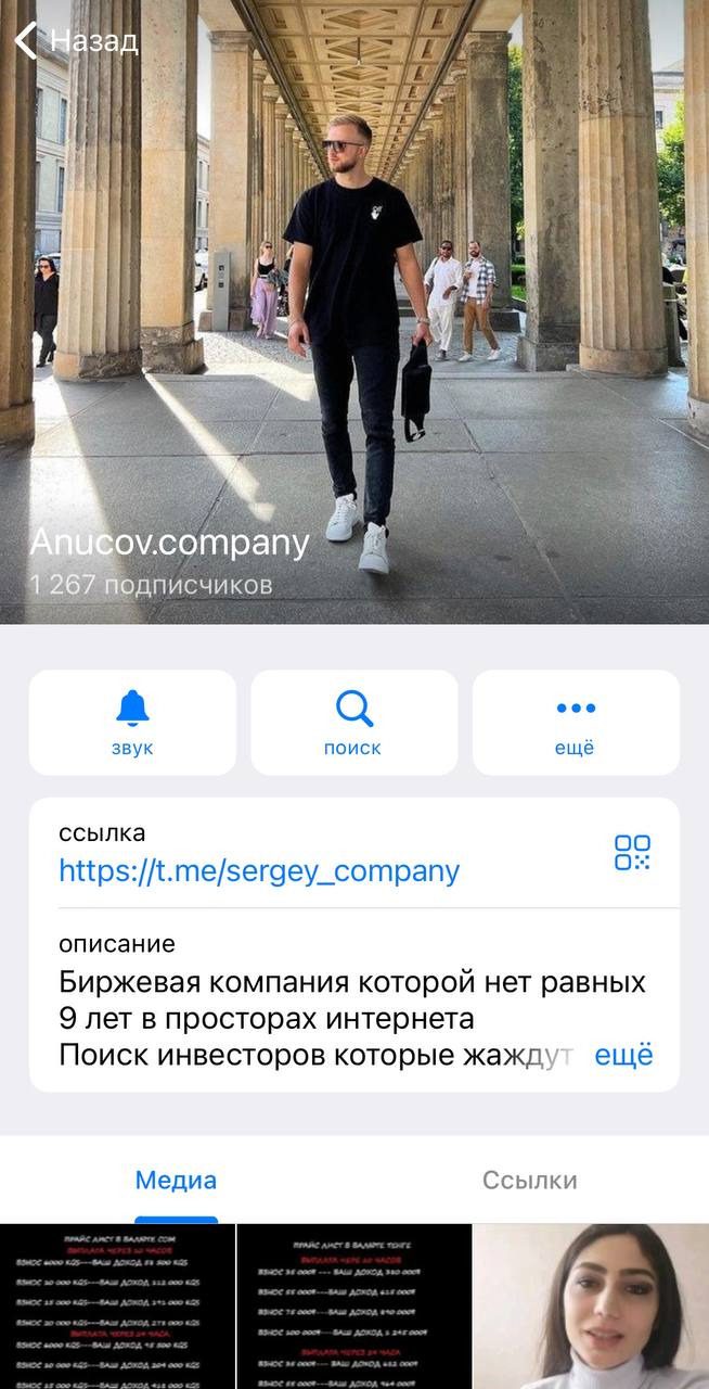 Информация о Телеграмм канале SergeyAnucov
