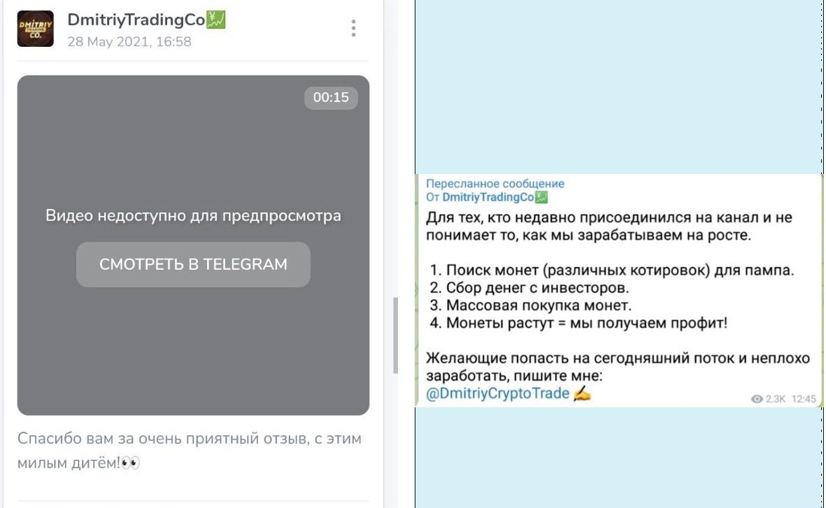 Отзывы, описание работы DmitriyTradingCo Telegram