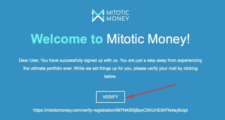 Mitotic Money инфо