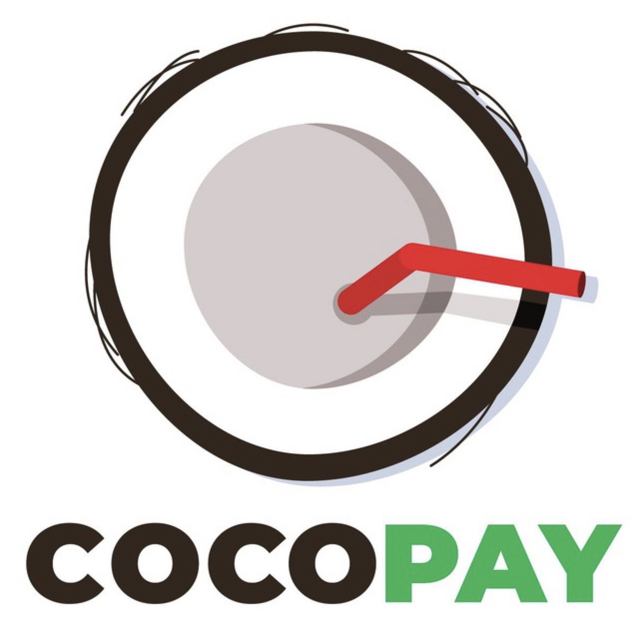 CocoPay обменник