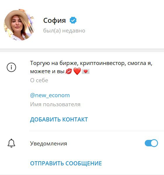 Информация о канале Криптозаработок с Софией в «Телеграмм»