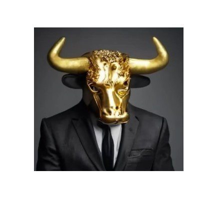 Mr. Bull Trading лого